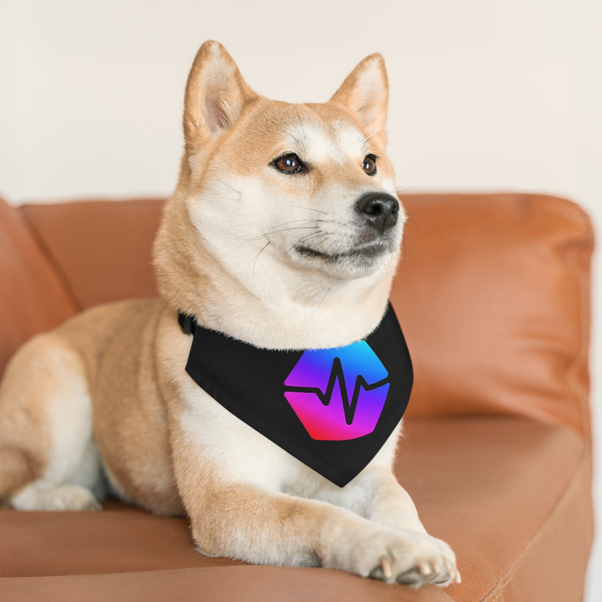 PulseChain Pet Collar