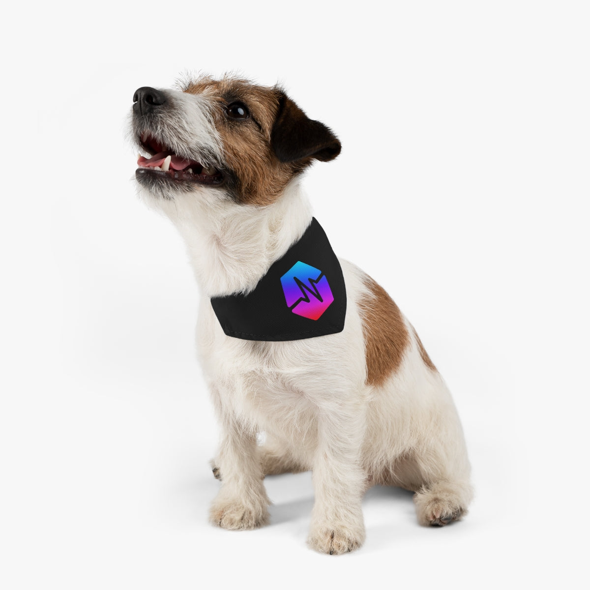PulseChain Pet Collar