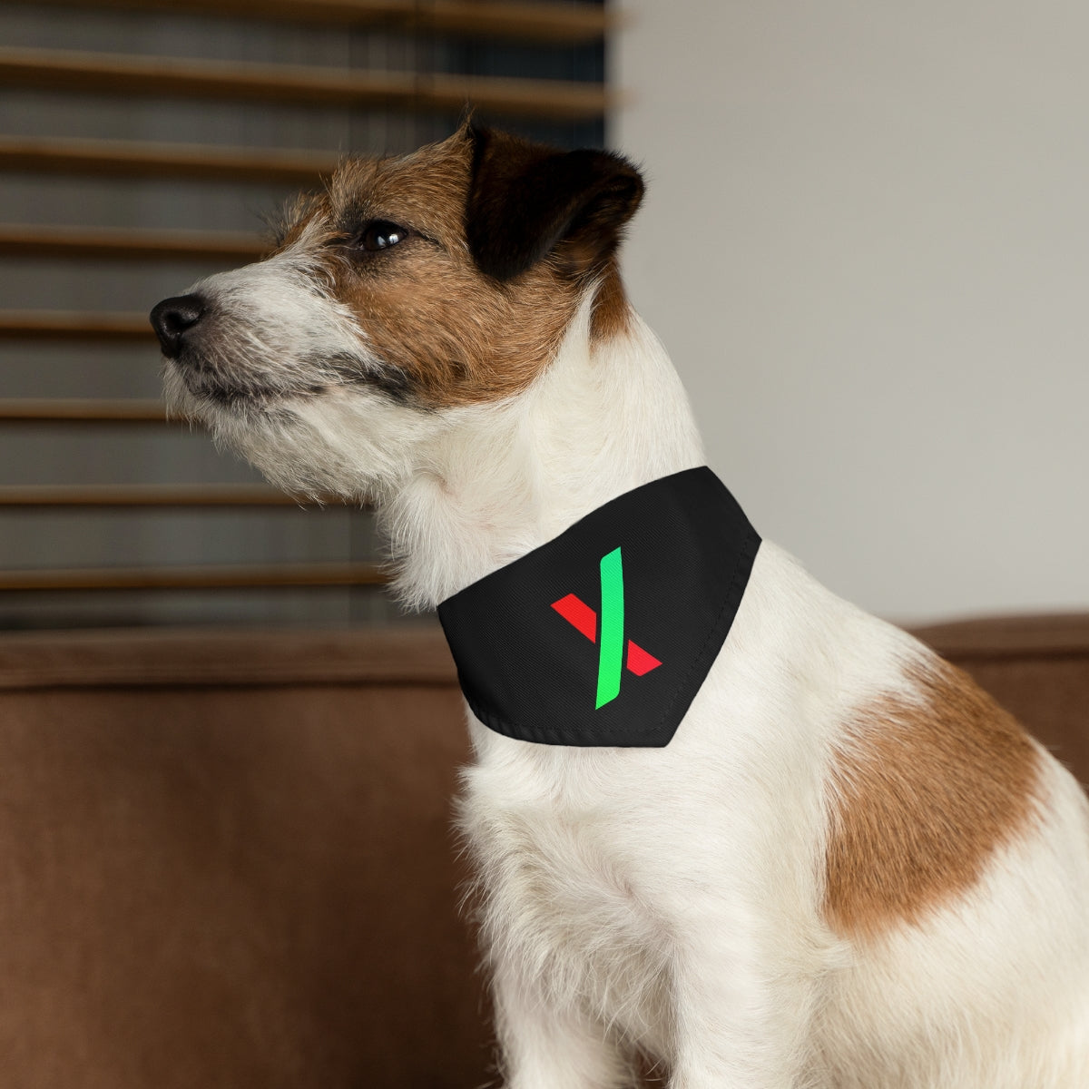 PulseX Pet Collar