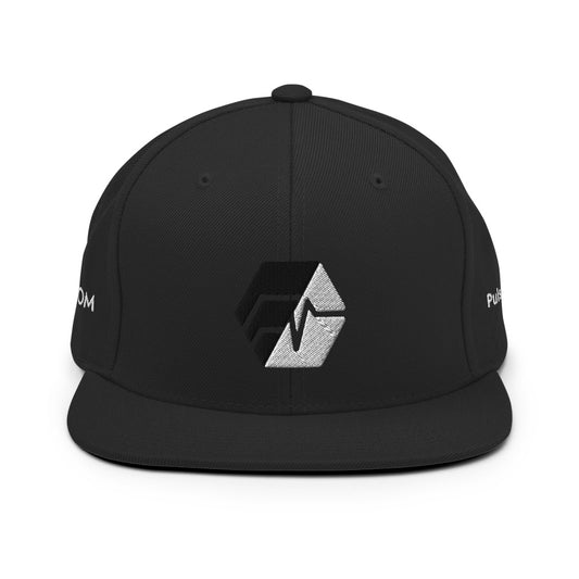 HEX/Pulse Snapback Hat