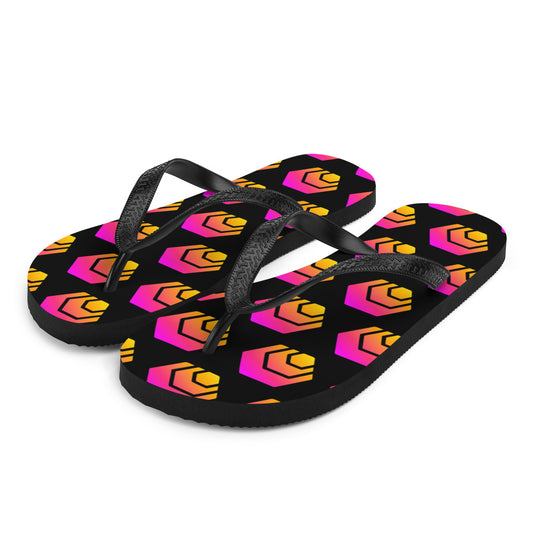 HEX Flip-Flops